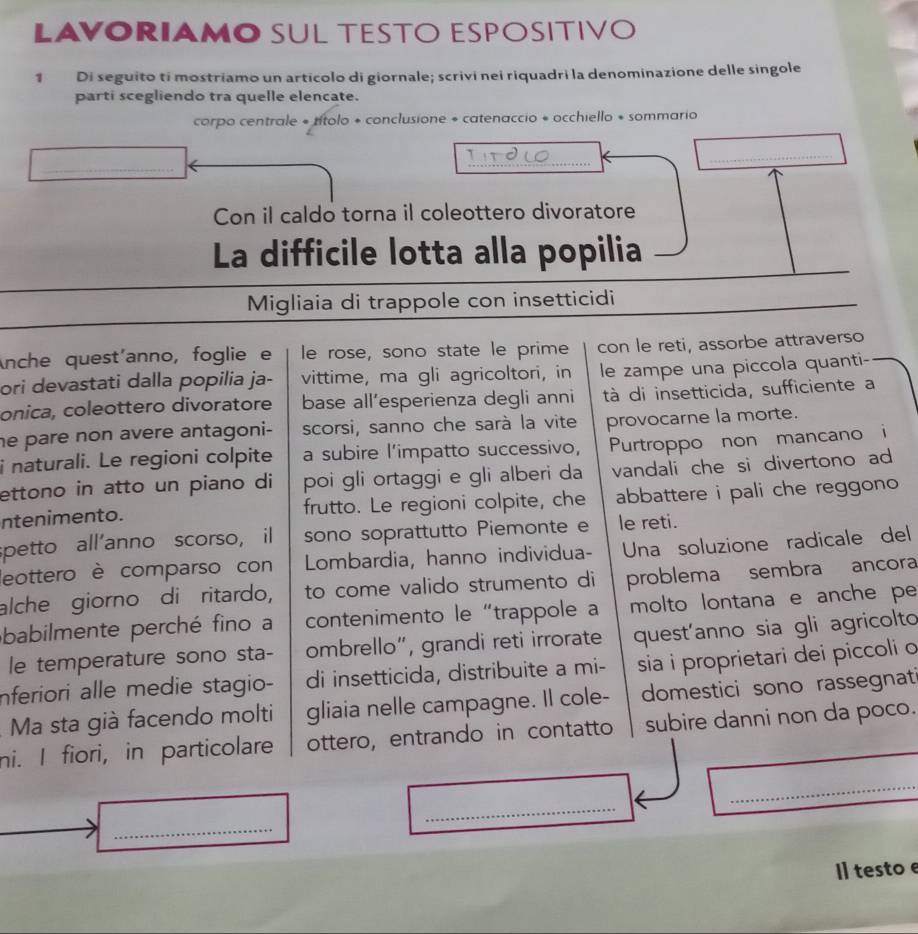 LAVORIAMO SUL TESTO ESPOSITIVO
1 Di seguito ti mostriamo un artícolo di giornale; scrivi nei riquadri la denominazione delle singole
parti scegliendo tra quelle elencate.
corpo centrale « títolo + conclusione + catenaccio * occhiello + sommario
_
_
_
Con il caldo torna il coleottero divoratore
La difficile lotta alla popilia
Migliaia di trappole con insetticidi
Anche quest'anno, foglie e le rose, sono state le prime con le reti, assorbe attraverso
ori devastati dalla popilia ja- vittime, ma gli agricoltori, in le zampe una piccola quanti-
onica, coleottero divoratore base all’esperienza degli anni tà di insetticida, sufficiente a
he pare non avere antagoni- scorsi, sanno che sarà la vite provocarne la morte.
i naturali. Le regioni colpite a subire l'impatto successivo, Purtroppo non mancano i
ettono in atto un piano di poi gli ortaggi e gli alberi da vandali che si divertono ad 
ntenimento. frutto. Le regioni colpite, che abbattere i pali che reggono 
spetto all'anno scorso, il sono soprattutto Piemonte e le reti.
leottero è comparso con Lombardia, hanno individua- Una soluzione radicale del
alche giorno di ritardo, to come valido strumento di problema sembra ancora
babilmente perché fino a contenimento le “trappole a molto lontana e anche pe
le temperature sono sta- ombrello", grandi reti irrorate quest'anno sia gli agricolto
Inferiori alle medie stagio- di insetticida, distribuite a mi- sia i proprietari dei piccoli o
Ma sta già facendo molti gliaia nelle campagne. Il cole- domestici sono rassegnat
ni. I fiori, in particolare ottero, entrando in contatto subire danni non da poco.
_
_
_
I testo e