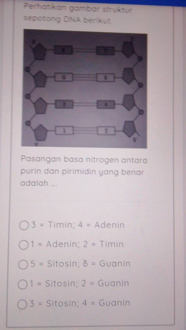 Perhatıkán gambar strüktur
sepotong DNA berikut.
Pasangan basa nitrogen antara
purin dan pirimidin yang benar
adalah ....
3= Timin; 4= Adenin
1= Adenin; 2= Timin
5= Sitosin; b= Guanin
1= Sitosin; 2= Guanin
3= Sitosin; 4= Guanin