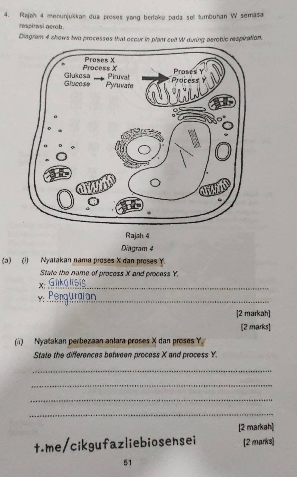 Rajah 4 menunjukkan dua proses yang berlaku pada sel tumbuhan W semasa 
respirasi aerob. 
Diagram 4 shows two processes that occur in plant cell W during aerobic respiration. 
Rajah 4 
Diagram 4 
(a) (i) Nyatakan nama proses X dan proses Y. 
State the name of process X and process Y.
X :_
Y :_ 
[2 markah] 
[2 marks] 
(ii) Nyatakan perbezaan anlara proses X dan proses Y. 
State the differences between process X and process Y. 
_ 
_ 
_ 
_ 
[2 markah] 
t.me/cikgufazliebiosensei [2 marks] 
51