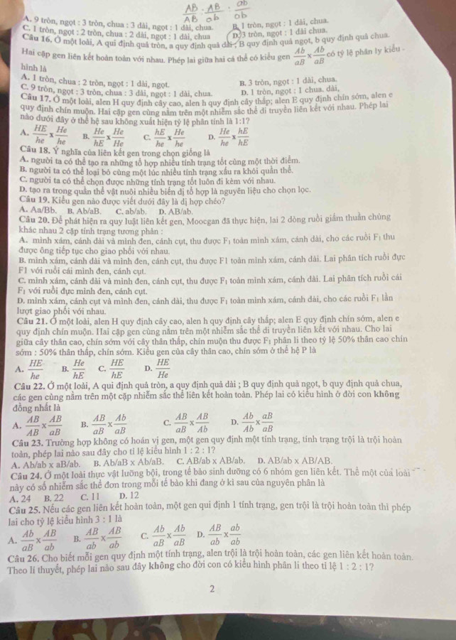 A. 9 tròn, ngọt : 3 tròn, chua : 3 dài, ngọt : 1 dài, chua B. l tròn, ngọt : 1 dài, chua.
C. 1 tròn, ngọt : 2 tròn, chua : 2 dài, ngọt : 1 dài, chua D.3 tròn, ngọt : 1 dài chua.
Câu 16. Ở một loài, A qui định quả tròn, a quy định quả dài ; B quy định quả ngọt, b quy định quả chua
Hai cập gen liên kết hoàn toàn với nhau. Phép lai giữa hai cá thể có kiểu gen  Ab/aB *  Ab/aB c c6 tỷ lệ phân ly kiểu -
hình là
A. 1 tròn, chua : 2 tròn, ngọt : 1 dài, ngọt. B. 3 tròn, ngọt : 1 dài, chua.
C. 9 tròn, ngọt : 3 tròn, chua : 3 dài, ngọt : 1 dài, chua. D. l tròn, ngọt : I chua. dài,
Câu 17. Ở một loài, alen H quy định cây cao, alen h quy định cây thấp; alen E quy định chín sớm, alen e
quy định chín muộn. Hai cập gen cùng nằm trên một nhiêm sắc thể di truyền liên kết với nhau. Phép lai
nào dưới đây ở thể hệ sau không xuất hiện tỷ lệ phân tính là 1:1
A.  HE/he *  He/he  B.  He/hE *  He/He  C.  hE/he *  He/he  D.  He/he *  hE/hE 
Câu 18. Ý nghĩa của liên kết gen trong chọn giống là
A. người ta có thể tạo ra những tổ hợp nhiều tính trang tốt cùng một thời điểm.
B. người ta có thể loại bỏ cùng một lúc nhiều tính trạng xấu ra khỏi quần thể
C. người ta có thể chọn được những tính trạng tốt luôn đi kèm với nhau.
D. tạo ra trong quân thể vật nuôi nhiều biển di tổ hợp là nguyên liệu cho chọn lọc.
Câu 19. Kiểu gen nào được viết dưới đây là dị hợp chéo?
A. Aa/Bb. B. Ab/aB. C. ab/ab. D. AB/ab.
Câu 20. Để phát hiện ra quy luật liên kết gen, Moocgan đã thực hiện, lai 2 dòng ruồi giám thuần chủng
khác nhau 2 cặp tính trạng tương phản :
A. mình xám, cánh dài và mình đen, cánh cụt, thu được Fị toàn mình xám, cánh dài, cho các ruồi Fị thu
được ông tiếp tục cho giao phối với nhau.
B. mình xám, cánh dài và mình đen, cánh cụt, thu được F1 toàn mình xám, cánh dài. Lai phân tích ruồi đực
F1 với ruồi cái mình đen, cánh cụt.
C. mình xám, cánh dài và mình đen, cánh cụt, thu được Fị toàn mình xám, cánh dài. Lai phân tích ruồi cái
F_1 với ruồi đực mình đen, cánh cụt. lần
D. mình xám, cánh cụt và mình đen, cánh dài, thu được F_1 toàn mình xám, cánh dài, cho các ruồi F_1
lượt giao phối với nhau.
Câu 21. Ở một loài, alen H quy định cây cao, alen h quy định cây thấp; alen E quy định chín sớm, alen e
quy định chín muộn. Hai cặp gen cùng nằm trên một nhiễm sắc thể di truyền liên kết với nhau. Cho lai
giữa cây thân cao, chín sớm với cây thân thấp, chín muộn thu được F_1 phân li theo tỷ lệ 50% thân cao chín
sớm 50% thân thấp, chín sớm. Kiểu gen của cây thân cao, chín sớm ở thể hệ P là
A.  HE/he  B.  He/hE  C.  HE/hE  D.  HE/He 
Câu 22. Ở một loài, A qui định quả tròn, a quy định quả dài ; B quy định quả ngọt, b quy định quả chua,
các gen cùng nằm trên một cặp nhiễm sắc thể liên kết hoàn toàn. Phép lai có kiểu hình ở đời con không
đồng nhất là
A.  AB/AB *  AB/aB  B.  AB/aB *  Ab/aB  C.  AB/aB *  AB/Ab  D.  Ab/Ab *  aB/aB 
Câu 23. Trường hợp không có hoán vị gen, một gen quy định một tính trạng, tính trạng trội là trội hoàn
toàn, phép lai nào sau đây cho tỉ lệ kiêu hình 1:2:1?
A. Ab/ab x aB/ab. B. Ab/aB x Ab/aB. C. AB/ab x AB/ab. D. AB/ab* AB/AB.
Câu 24. Ở một loài thực vật lưỡng bội, trong tế bảo sinh dưỡng có 6 nhóm gen liên kết. Thể một của loài
này có số nhiễm sắc thể đơn trong mỗi tế bào khi đang ở kì sau của nguyên phân là
A. 24 B. 22 C. 11 D.12
Câu 25. Nếu các gen liên kết hoàn toàn, một gen qui định 1 tính trạng, gen trội là trội hoàn toàn thì phép
lIai cho tỷ lệ kiểu hình 3:11a
A.  Ab/aB *  AB/ab  B.  AB/ab *  AB/ab  C.  Ab/aB *  Ab/aB  D.  AB/ab *  ab/ab 
Câu 26. Cho biết mỗi gen quy định một tính trạng, alen trội là trội hoàn toàn, các gen liên kết hoàn toàn.
Theo lí thuyết, phép lai nào sau đây không cho đời con có kiểu hình phân li theo tỉ lệ 1:2:1 ?
2