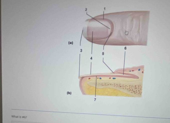 What is #6?