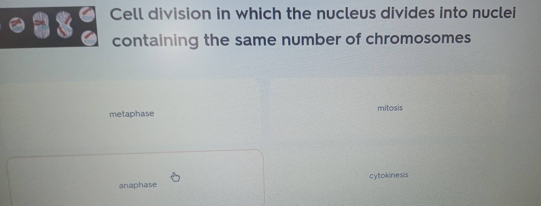 Cell division in which the nucleus divides into nuclei
containing the same number of chromosomes
mitosis
metaphase
cytokinesis
anaphase