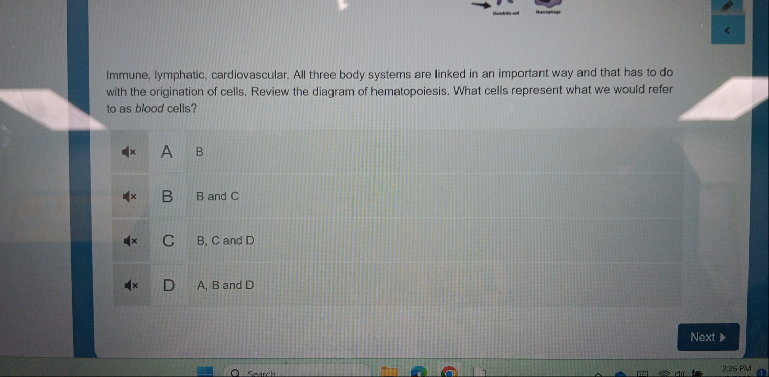 Immune, lymphatic, cardiovascular. All three body systems are linked in an important way and that has to do
with the origination of cells. Review the diagram of hematopoiesis. What cells represent what we would refer
to as blood cells?
A B
B B and C
C B, C and D
A, B and D
Next
Search 2:26 PM