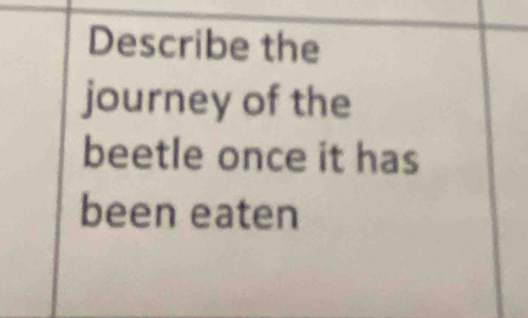 Describe the 
journey of the 
beetle once it has 
been eaten