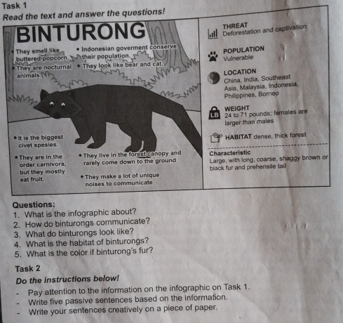 Task 1 
Read the text and answer the questions! 
BINTURONG 
THREAT 
Deforestation and captivation 
They smell like * Indonesian goverment conserve 
buttered popcorn. their population. 
They are nocturnal They look like bear and cat. POPULATION Vullnerable 
ial 
LOCATION Asia, Malaysia, Indonesía, China, India, Southeast 
Philippines, Bomeo 
WEIGHT 
LB 24 to 71 pounds; females are 
larger than males 
It is the biggest 
civet spesies HABITAT dense, thick forest 
They are in the * They live in the forest canopy and Characteristic 
but they mostly rarely come down to the ground Large, with long, coarse, shaggy brown or 
order carnivora. 
They make a lot of unique black fur and prehensile tail 
eat fruit. noises to communicate 
Questions: 
1. What is the infographic about? 
2. How do binturongs communicate? 
3. What do binturongs look like? 
4. What is the habitat of binturongs? 
5. What is the color if binturong's fur? 
Task 2 
Do the instructions below! 
Pay attention to the information on the infographic on Task 1. 
Write five passive sentences based on the information. 
Write your sentences creatively on a piece of paper.