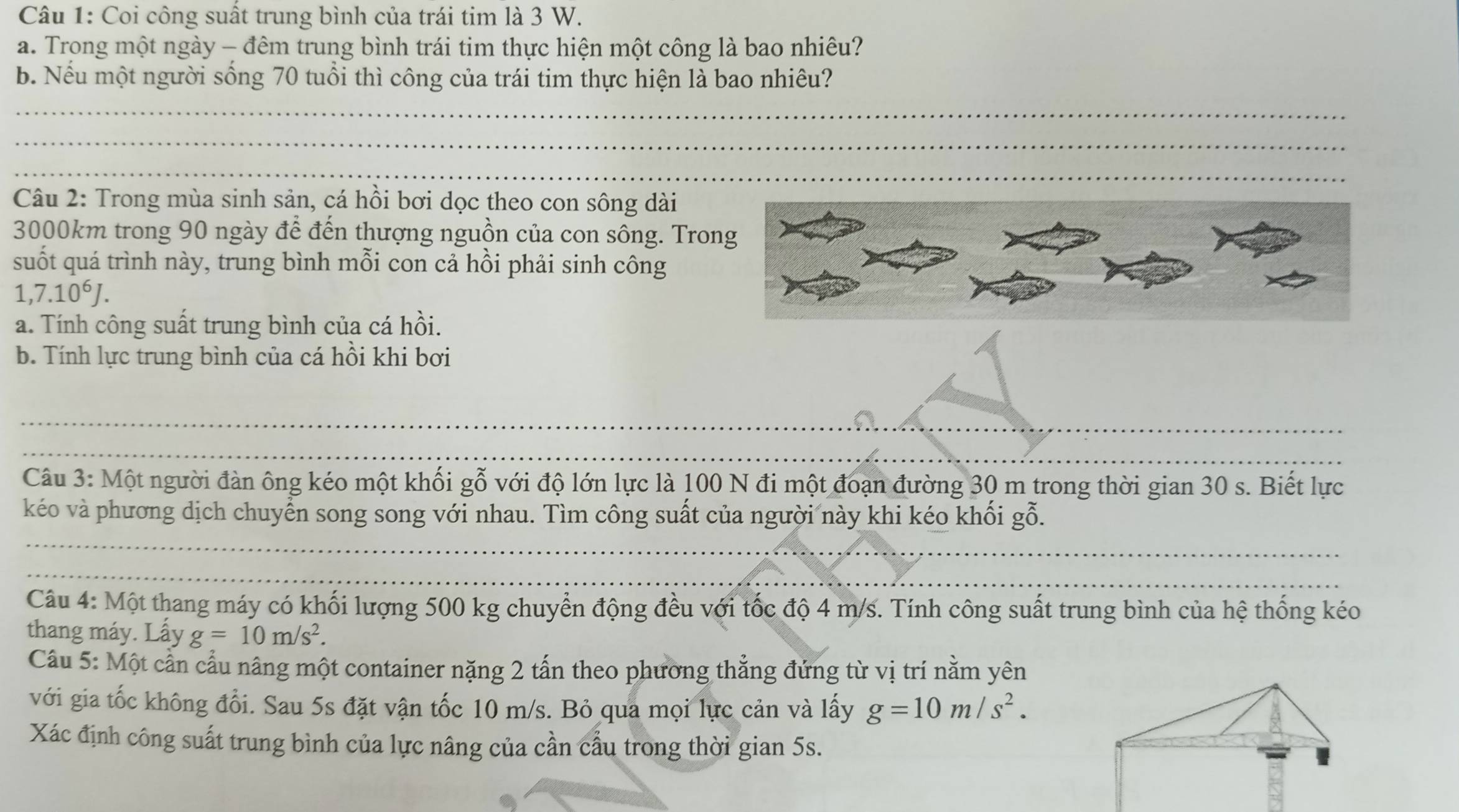 Coi công suất trung bình của trái tim là 3 W. 
a. Trong một ngày - đêm trung bình trái tim thực hiện một công là bao nhiêu? 
b. Nếu một người sống 70 tuổi thì công của trái tim thực hiện là bao nhiêu? 
_ 
_ 
_ 
_ 
Câu 2: Trong mùa sinh sản, cá hồi bơi dọc theo con sông dài
3000km trong 90 ngày để đến thượng nguồn của con sông. Tro 
suốt quá trình này, trung bình mỗi con cả hồi phải sinh công
1,7.10^6J. 
a. Tính công suất trung bình của cá hồi. 
b. Tính lực trung bình của cá hồi khi bơi 
_ 
_ 
__ 
_ 
Câu 3: Một người đàn ông kéo một khối gỗ với độ lớn lực là 100 N đi một đoạn đường 30 m trong thời gian 30 s. Biết lực 
_ 
kéo và phương dịch chuyển song song với nhau. Tìm công suất của người này khi kéo khối gỗ. 
_ 
_ 
_ 
Câu 4: Một thang máy có khối lượng 500 kg chuyển động đều với tốc độ 4 m/s. Tính công suất trung bình của hệ thống kéo 
thang máy. Lấy g=10m/s^2. 
Câầu 5: Một cần cầu nâng một container nặng 2 tấn theo phương thẳng đứng từ vị trí nằm yên 
với gia tốc không đổi. Sau 5s đặt vận tốc 10 m/s. Bỏ qua mọi lực cản và lấy g=10m/s^2. 
Xác định công suất trung bình của lực nâng của cần cầu trong thời gian 5s.