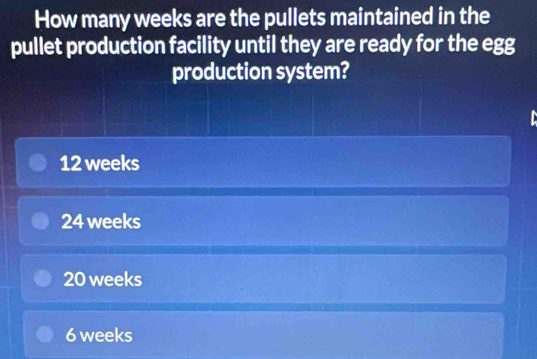 Solved: How many weeks are the pullets maintained in the pullet ...