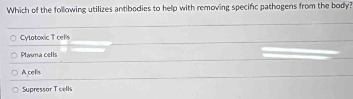 Which of the following utilizes antibodies to help with removing specific pathogens from the body?
Cytotoxic T cells
Plasma cells
A cells
Supressor T cells