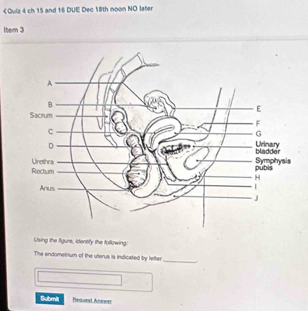 15 and 16 DUE Dec 18th noon NO later 
ltem 3 
Using the figure, identify the following: 
The endometrium of the uterus is indicated by letter_ . 
Submit Request Answer