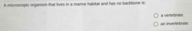 A microscopic organism that lives in a marine habitat and has no backbone is:
a vertebrate.
an invertebrate.