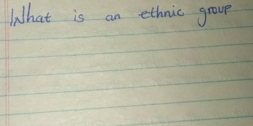 What is an ethnic group