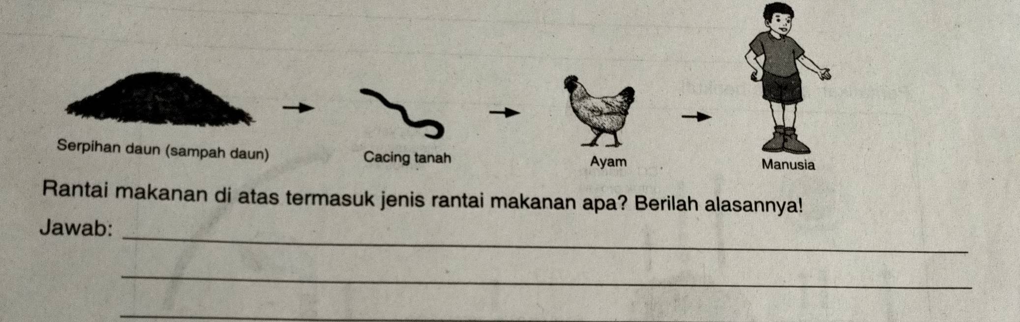 di atas termasuk jenis rantai makanan apa? Berilah alasannya! 
_ 
Jawab: 
_ 
_