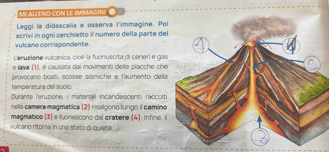 MI ALLENO CON LE IMMAGINI 
Leggi la didascalia e osserva l'immagine. Po 
scrivi in ogni cerchietto il numero della parte de 
vulcano corrispondente. 
L'eruzione vulcanica, cioè la fuoriuscita di ceneri e gas 
e lava (1), è causata dai movimenti delle placche che 
provocano boati, scosse sismiche e l'aumento della 
temperatura del suolo. 
Durante l'eruzione, i materiali incandescenti raccolti 
nella camera magmatica (2) risalgono lungo il camino 
magmatico (3) e fuoriescono dal cratere (4). Infine, il 
vulcano ritorna in uno stato di quiete.