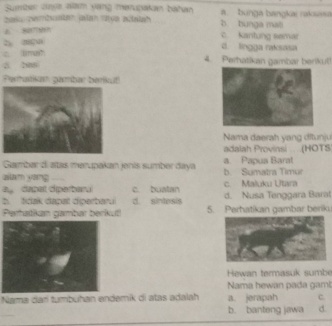 Sumber daya alam yang merupakan beihan a. bunga bangkai rakiasa
palu parbuatan jalan rava edalah b bunga mat
c. kantung semar
d. lingga raksasa
clmah 4. Perhatikan gambar berikut!
dì ben
Perhatikam gambar berrikuf
Nama daerah yang dftunju
adalah Provinsi ...(HOTS
Gambar di alas merupakan jenís sumber daya a. Papua Barat
b. Sumatra Timur
alam yang ----
c. Maluku Utara
a dapet diperbaru c. buatan
b. tidak dapat diperbarui d. sintesis
d. Nusa Tenggara Barat
Peratkan gambar berkut 5. Perhatikan gambar beriku
Hewan termasuk sumbe
Nama hewan pada gamb
Nama dari tumbuhan endemik di atas adalah a. jerapah C.
b. banteng jawa d.