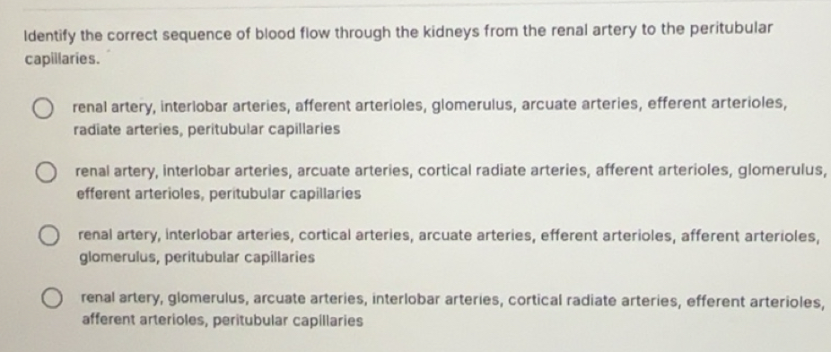 Gelöst:ldentify the correct sequence of blood flow through the kidneys ...