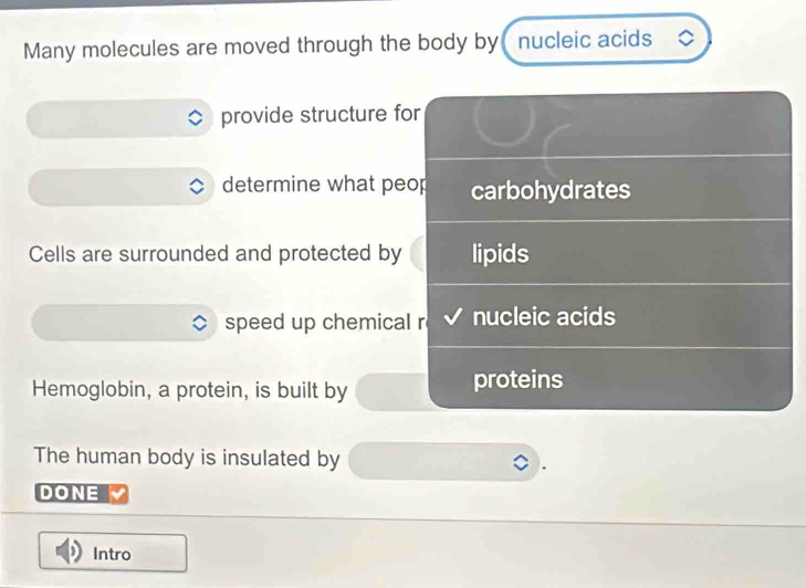 Many molecules are moved through the body by nucleic acids 
provide structure for 
determine what peop carbohydrates 
Cells are surrounded and protected by lipids 
speed up chemical r nucleic acids 
Hemoglobin, a protein, is built by proteins 
The human body is insulated by 
DONE 
Intro