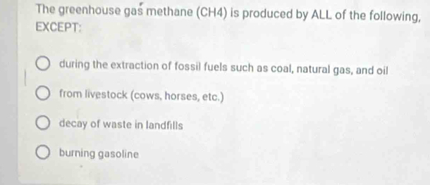 The greenhouse gas methane (CH4) is produced by ALL of the following,
EXCEPT:
during the extraction of fossil fuels such as coal, natural gas, and oil
from livestock (cows, horses, etc.)
decay of waste in landfills
burning gasoline