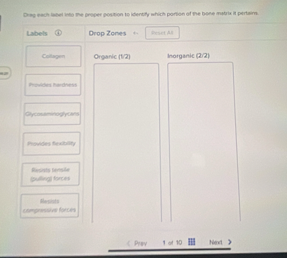 Solved: Drag each label into the proper position to identify which ...