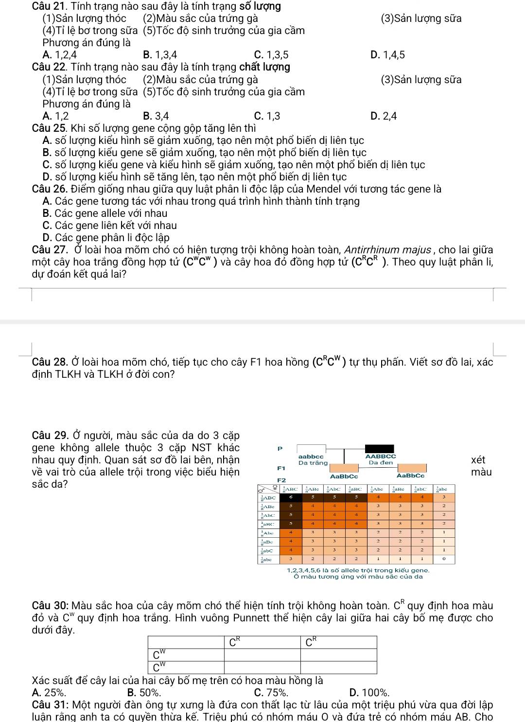 Tính trạng nào sau đây là tính trạng số lượng
(1)Sản lượng thóc (2)Màu sắc của trứng gà (3)Sản lượng sữa
(4)Tỉ lệ bơ trong sữa (5)Tốc độ sinh trưởng của gia cầm
Phương án đúng là
A. 1,2,4 B. 1,3,4 C. 1,3,5 D. 1,4,5
Câu 22. Tính trạng nào sau đây là tính trạng chất lượng
(1)Sản lượng thóc (2)Màu sắc của trứng gà (3)Sản lượng sữa
(4)Tỉ lệ bơ trong sữa (5)Tốc độ sinh trưởng của gia cầm
Phương án đúng là
A. 1,2 B. 3,4 C. 1,3 D. 2,4
Câu 25. Khi số lượng gene cộng gộp tăng lên thì
A. số lượng kiểu hình sẽ giảm xuống, tạo nên một phố biến dị liên tục
B. số lượng kiểu gene sẽ giảm xuống, tạo nên một phố biến dị liên tục
C. số lượng kiểu gene và kiểu hình sẽ giảm xuống, tạo nên một phố biến dị liên tục
D. số lượng kiểu hình sẽ tăng lên, tạo nên một phố biến dị liên tục
Câu 26. Điểm giống nhau giữa quy luật phân li độc lập của Mendel với tương tác gene là
A. Các gene tương tác với nhau trong quá trình hình thành tính trạng
B. Các gene allele với nhau
C. Các gene liên kết với nhau
D. Các gene phân li độc lập
Câu 27. Ở loài hoa mõm chó có hiện tượng trội không hoàn toàn, Antirrhinum majus , cho lai giữa
một cây hoa trắng đồng hợp tử (C^wC^w) và cây hoa đỏ đồng hợp tử (C^RC^R). Theo quy luật phân li,
dự đoán kết quả lai?
Câu 28. Ở loài hoa mõm chó, tiếp tục cho cây F1 hoa hồng (C^RC^W) tự thụ phấn. Viết sơ đồ lai, xác
định TLKH và TLKH ở đời con?
Câu 29. Ở người, màu sắc của da do 3 cặp
gene không allele thuộc 3 cặp NST khác p
nhau quy định. Quan sát sơ đồ lai bên, nhận Da trầng aabbcc AABBCC Da đen xét
về vai trò của allele trội trong việc biểu hiện F1 AaBbCc AaBbCc màu
sắc da?
ABC nAHc ABC BC
,ABC 5 a^(bc aaBc gabc gabe
3
ABc 2
Abc:
2
²aBC:
;Abc
;aBc
-abC 2 2
gabc 2
1,2,3,4,5,6 là số allele trội trong kiểu gene.
Câu 30: Màu sắc hoa của cây mõm chó thể hiện tính trội không hoàn toàn. C^R) quy định hoa màu
đỏ và C^w quy định hoa trắng. Hình vuông Punnett thể hiện cây lai giữa hai cây bố mẹ được cho
dưới đây.
Xác suất để cây lai của hai cây bố mẹ trên có hoa màu hồng là
A. 25%. B. 50%. C. 75%. D. 100%.
Câu 31: Một người đàn ông tự xưng là đứa con thất lạc từ lâu của một triệu phú vừa qua đời lập
luận rằng anh ta có quyền thừa kế. Triêu phú có nhóm máu O và đứa trẻ có nhóm máu AB. Cho