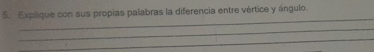 Explique con sus propias palabras la diferencia entre vértice y ángulo. 
_ 
_ 
_