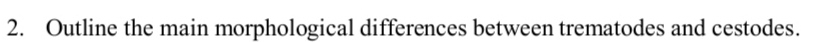 Outline the main morphological differences between trematodes and cestodes.