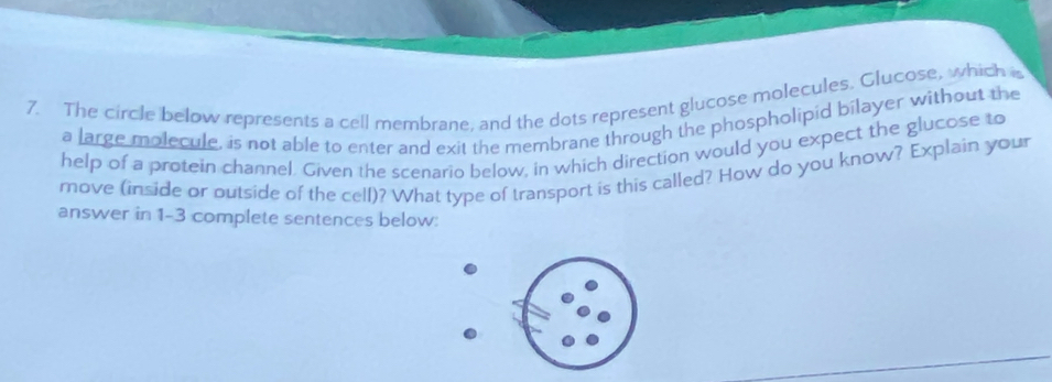 The circle below represents a cell membrane, and the dots represent glucose molecules. Glucose, which a 
a large molecule, is not able to enter and exit the membrane through the phospholipid bilayer without the 
help of a protein channel. Given the scenario below, in which direction would you expect the glucose to 
rnove (inside or outside of the cell)? What type of transport is this called? How do you know? Explain your 
answer in 1-3 complete sentences below: