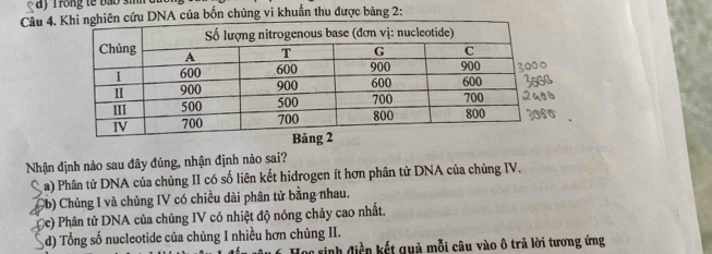 ay Trong tế bao sin 
Câu 4.của bốn chủng vi khuẩn thu được bảng 2 :
Nhận định nào sau đây đúng, nhận định nào sai?
a) Phân tử DNA của chủng II có số liên kết hidrogen ít hơn phân tử DNA của chủng IV.
b) Chủng I và chủng IV có chiều dài phân tử bằng nhau.
c) Phân tử DNA của chủng IV có nhiệt độ nóng chảy cao nhất.
d) Tổng số nucleotide của chủng I nhiều hơn chủng II.
oc sinh điền kết quả mỗi câu vào ô trả lời tương ứng