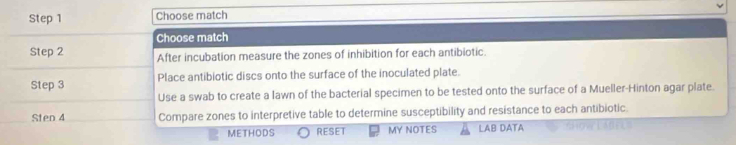 Choose match 
Choose match 
Step 2 
After incubation measure the zones of inhibition for each antibiotic. 
Step 3 Place antibiotic discs onto the surface of the inoculated plate. 
Use a swab to create a lawn of the bacterial specimen to be tested onto the surface of a Mueller-Hinton agar plate. 
Sten 4 Compare zones to interpretive table to determine susceptibility and resistance to each antibiotic. 
METHODS RESET MY NOTES LAB DATA