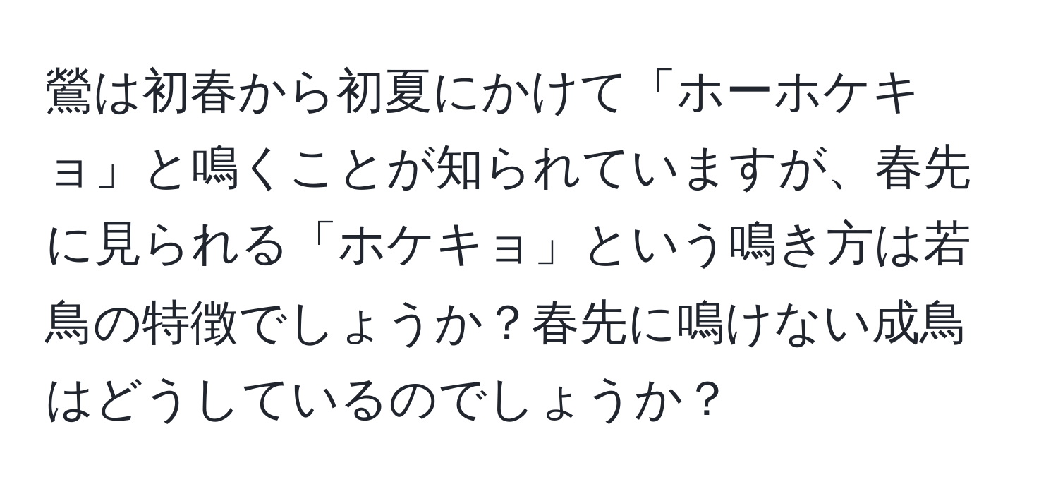 鶯は初春から初夏にかけて「ホーホケキョ」と鳴くことが知られていますが、春先に見られる「ホケキョ」という鳴き方は若鳥の特徴でしょうか？春先に鳴けない成鳥はどうしているのでしょうか？