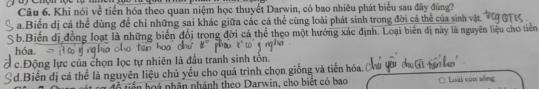 Khi nói về tiến hóa theo quan niệm học thuyết Darwin, có bao nhiêu phát biểu sau đây đúng?
a.Biến dị cá thể dùng để chỉ những sai khác giữa các cá thể cùng loài phát sinh trong đời cá thể của sinh vật.
b.Biến dị đồng loạt là những biến đổi trong đời cá thể theo một hướng xác định. Loại biến dị này là nguyên liệu cho tiến
hóa.
c.Động lực của chọn lọc tự nhiên là đấu tranh sinh tồn.
2d.Biến dị cá thể là nguyên liệu chủ yếu cho quá trình chọn giống và tiến hóa.
a ho á nhân nhánh theo Darwin, cho biết có bao Loài còn sống