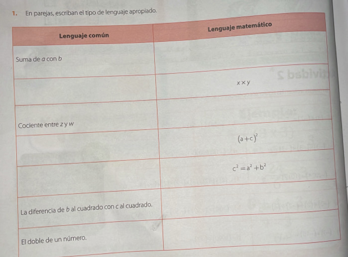 1an el tipo de lenguaje apropiado.