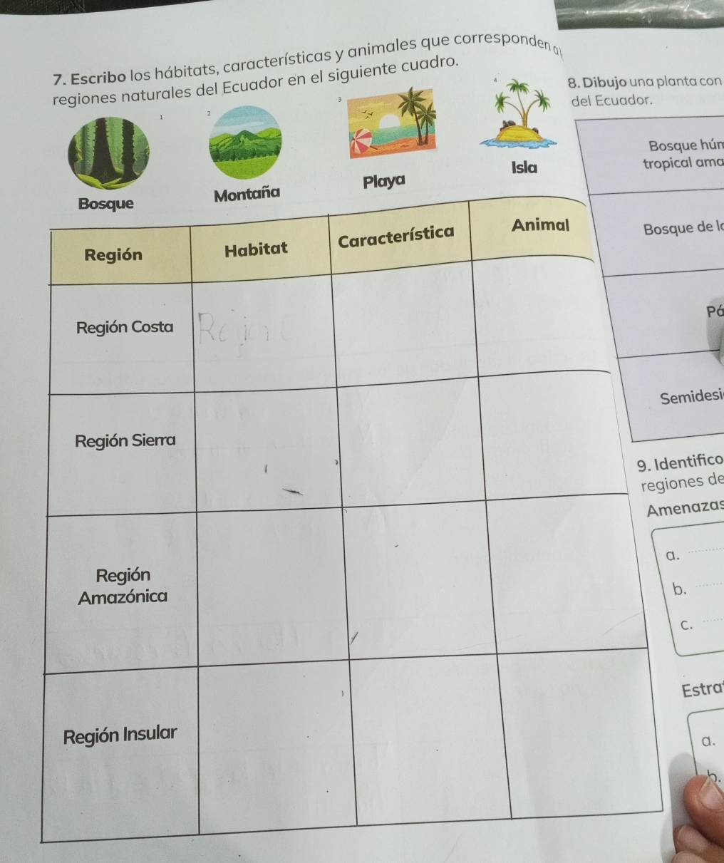 Escribo los hábitats, características y animales que corresponden a 
regiones naturales del Ecuador en el siguiente cuadro. 
8. Dibujo una planta con 
del Ecuador. 
Bosque húm 
Isla tropical ama 
e de la 
Pá 
idesi 
tifico 
es d 
azas 
_ 
_ 
. 
_ 
stra 
a. 
b.