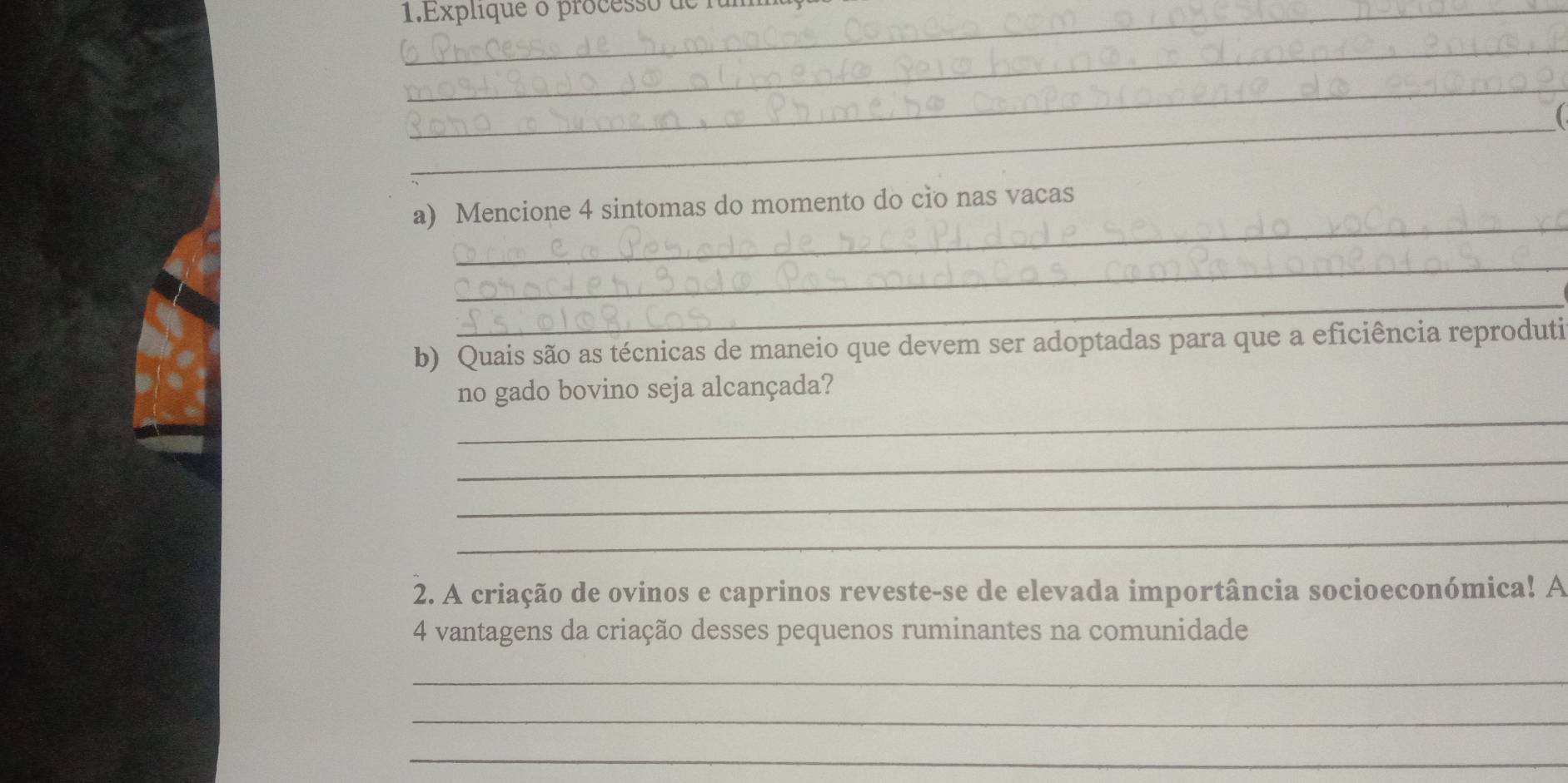 Explique o processo de 
_ 
_ 
_ 
_ 
a) Mencione 4 sintomas do momento do cio nas vacas 
_ 
_ 
b) Quais são as técnicas de maneio que devem ser adoptadas para que a eficiência reproduti 
_ 
no gado bovino seja alcançada? 
_ 
_ 
_ 
2. A criação de ovinos e caprinos reveste-se de elevada importância socioeconómica! A 
4 vantagens da criação desses pequenos ruminantes na comunidade 
_ 
_ 
_