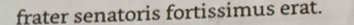 frater senatoris fortissimus erat.