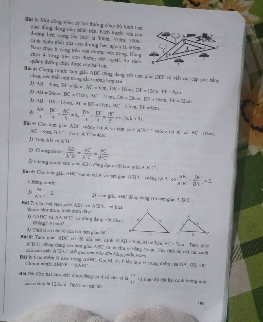 Một công viên có hai đường chạy bộ hình tam
giác đồng đạng như hình bên. Kích thước của con
đường bên trong lần lượt là 300m, 350m, 550m.
cạnh ngăn nhất của con đường bên ngoài là 600m.
Nam chạy 6 vòng trên con đường bên trong, Hùng
chạy 4 vòng trên con đường bên ngoài. So sánh
quảng đường chạy được của hai bạn.
Bài 4: Chứng minh: tam giác ABC đồng đạng với tam giác DEF và viết các cặp gỏc bằng
nhau, nếu biết một trong các trưởng hợp sau:
1)
2) AB=4cm,BC=6cm,AC=5cm,DE=10cm,DF=12cm,EF=8cm.
AB=24cm,BC=21cm,AC=27cm,DE=28cm,DF=36cm,EF=32cm.
3) AB=DE=12cm,AC=DF=18cm,BC=27cm,EF=8cm.
4)  AB/3 = BC/4 = AC/5 =k, DE/3 = EF/4 = DF/5 =h(h,k>0).
Bài 5: Cho tam giác ABC vuông tại A và tam giác A^,B^,C^, vuông tại A^(^,) có BC=10cm,
AC=8cm,B'C'=5cm,A'C'=4cm.
1) Tính AB và A'B'.
2) Chứng minh:  AB/A'B' = AC/A'C' = BC/B'C' .
3) Chứng minh: tam giác ABC đồng dạng với tam giác A 'B'C'.
Bài 6: Cho tam giác ABC vuông tại A và tam giác A^,B^,C^, vuông tại A'ci AB/A'B' = BC/B'C' =2.
Chứng minh:
1)  AC/A'C' =2. 2) Tam giác ABC đồng dạng với tam giác A'B'C'.
Bài 7: Cho hai tam giác ABC và A'B'C' có kích
thước như trong hình dưới đây:
1) △ ABC và △ A'B'C' có đồng dạng với nhau
không? Vi sao?
2) Tính tỉ số chu ví của hai tam giác đó. 
Bài 8: Tam giác ABC có độ đài các cạnh là AB=3cm,AC=5cm,BC=7cm. Tam giác
A^,B^,C^, đồng đạng với tam giác ABC và có chu vi bằng 55cm. Hãy tính độ dài các cạnh
của tam giác A'B'C' (kết quả lãm tròn đến hàng phần trăm).
Bài 9: Cho điểm O nằm trong △ ABC F. Gọi M, N, P lần lượt là trung điểm của OA, OB, OC.
Chứng minh: △ MNP∽ △ ABC.
Bài 10: Cho hai tam giác đồng dạng có tỉ số chu vi là  15/17  và hiệu độ dài hai cạnh tương ứng
của chúng là 12,5cm. Tính hai cạnh đó.
185