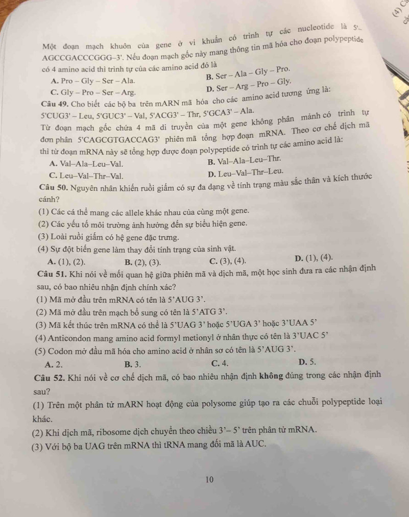 Một đoạn mạch khuôn của gene ở vi khuẩn có trình tự các nucleotide là 5
AGCCGACCCGGG-3'. Nếu đoạn mạch gốc này mang thông tin mã hóa cho đoạn polypeptide
có 4 amino acid thì trình tự của các amino acid đó là Ser-Ala-Gly-Pro.
B.
A. Pro-Gly-Ser-Ala.
C. Gly-Pro-Ser-Arg.
D. Ser-Arg-Pro-Gly.
Câu 49. Cho biết các bộ ba trên mARN mã hóa cho các amino acid tượng ứng là:
5'CUG3'-Leu,5'GUC3'-Val,5'ACG3'-Thr,5'GCA3'-Ala.
Từ đoạn mạch gốc chứa 4 mã di truyền của một gene không phân mảnh có trình tự
đơn phân 5'CAGCGTGACCAG3' phiên mã tổng hợp đoạn mRNA. Theo cơ chế dịch mã
thì từ đoạn mRNA này sẽ tổng hợp được đoạn polypeptide có trình tự các amino acid là:
A. Val-Ala-Leu-Val.
B. Val-Ala-Leu-Thr.
C. Leu-Val-Thr-Val.
D. Leu-Val-Thr-Leu.
Câu 50. Nguyên nhân khiến ruồi giấm có sự đa dạng về tỉnh trạng màu sắc thân và kích thước
cánh?
(1) Các cá thể mang các allele khác nhau của cùng một gene.
(2) Các yếu tố môi trường ảnh hưởng đến sự biểu hiện gene.
(3) Loài ruồi giấm có hệ gene đặc trưng.
(4) Sự đột biến gene làm thay đồi tính trạng của sinh vật.
A. (1), (2). B. (2), (3). C. (3), (4). D. (1), (4).
Câu 51. Khi nói về mối quan hệ giữa phiên mã và dịch mã, một học sinh đưa ra các nhận định
sau, có bao nhiêu nhận định chính xác?
(1) Mã mở đầu trên mRNA có tên là 5^, A []G3?
(2) Mã mở đầu trên mạch bổ sung có tên là 5^,ATG3^,.
(3) Mã kết thúc trên mRNA có thể là 5^,U. AG 3' hoặc 5^, JGA 3' hoặc 3^,U AA 5’
(4) Anticondon mang amino acid formyl metionyl ở nhân thực có tên là 3^,U AC 5^,
(5) Codon mở đầu mã hóa cho amino acid ở nhân sơ có tên là 5' AUG 3’.
A. 2. B. 3. C. 4.
D. 5.
Câu 52. Khi nói về cơ chế dịch mã, có bao nhiêu nhận định không đúng trong các nhận định
sau?
(1) Trên một phân tử mARN hoạt động của polysome giúp tạo ra các chuỗi polypeptide loại
khác.
(2) Khi dịch mã, ribosome dịch chuyển theo chiều 3'-5' trên phân tử mRNA.
(3) Với bộ ba UAG trên mRNA thì tRNA mang đối mã là AUC.
10