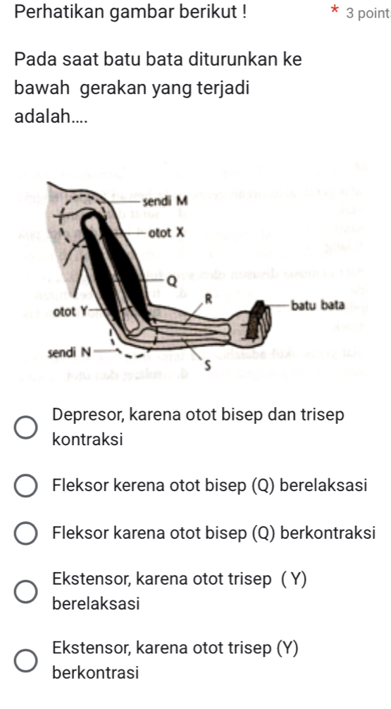 Perhatikan gambar berikut ! 3 point
Pada saat batu bata diturunkan ke
bawah gerakan yang terjadi
adalah....
Depresor, karena otot bisep dan trisep
kontraksi
Fleksor kerena otot bisep (Q) berelaksasi
Fleksor karena otot bisep (Q) berkontraksi
Ekstensor, karena otot trisep ( Y)
berelaksasi
Ekstensor, karena otot trisep (Y)
berkontrasi