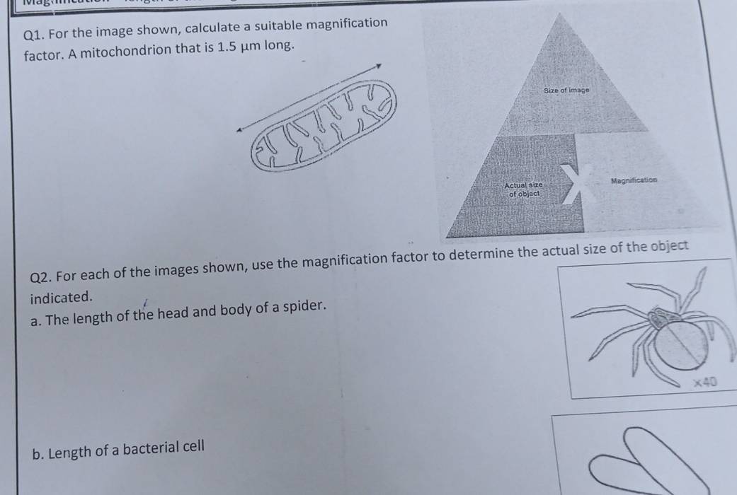 Solved: For the image shown, calculate a suitable magnification factor ...