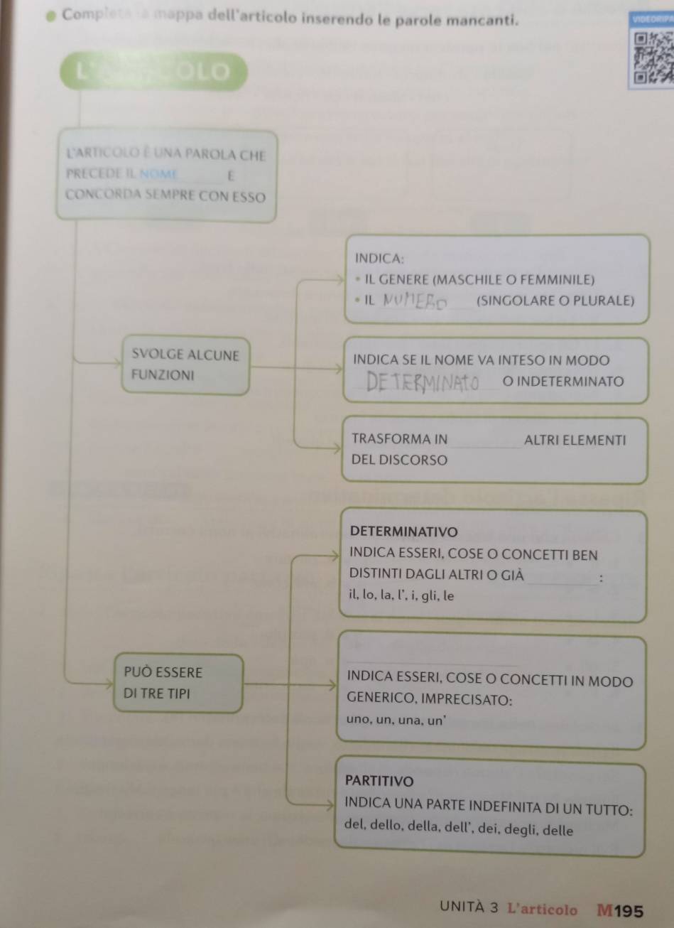 Completa la mappa dell'articolo inserendo le parole mancanti. 
L OLO 
L'ARTICOLO é UnA PAROLA CHE 
PRECEDE IL NOME E 
CONCORDA SEMPRE CON ESSO 
INDICA: 
* IL GENERE (MASCHILE O FEMMINILE) 
I (SINGOLARE O PLURALE) 
SVOLGE ALCUNE INDICA SE IL NOME VA INTESO IN MODO 
FUNZIONI O INDETERMINATO 
TRASFORMA IN ALTRI ELEMENTI 
DEL DISCORSO 
DETERMINATIVO 
INDICA ESSERI, COSE O CONCETTI BEN 
DISTINTI DAGLI ALTRI O GIÀ : 
il, lo, la, l', i, gli, le 
PUÒ ESSERE INDICA ESSERI, COSE O CONCETTI IN MODO 
DI TRE TIPI GENERICO, IMPRECISATO: 
uno, un, una, un' 
PARTITIVO 
INDICA UNA PARTE INDEFINITA DI UN TUTTO: 
del, dello, della, dell’, dei, degli, delle 
UNITÀ 3 L'articolo M195