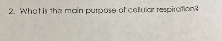 What is the main purpose of cellular respiration?