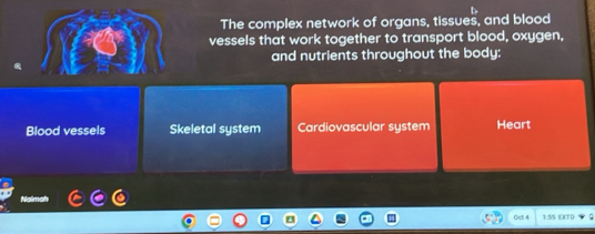 The complex network of organs, tissues, and blood
vessels that work together to transport blood, oxygen,
and nutrients throughout the body:
Blood vessels Skeletal system Cardiovascular system Heart
Nalmah
Qc 4 1:5S EXT D