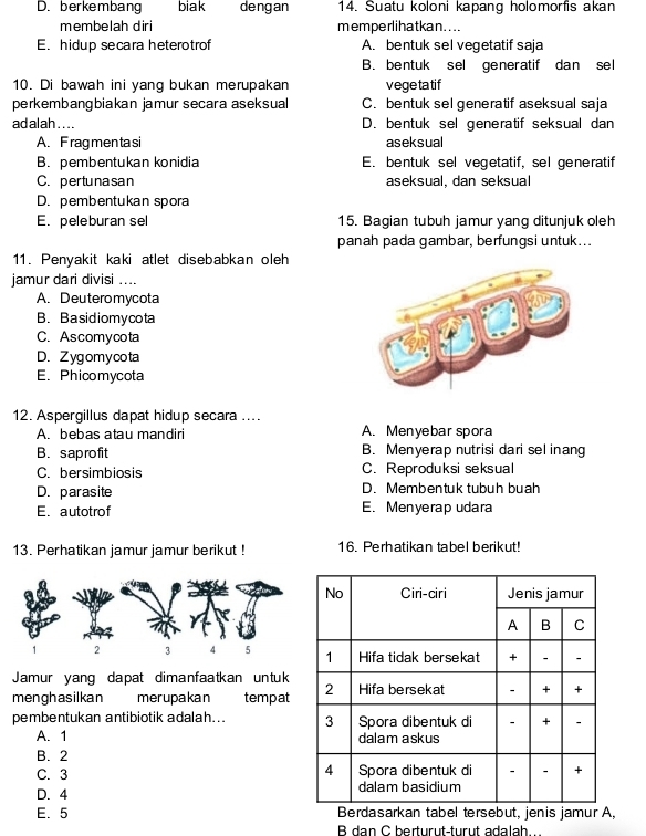 D. berkembang biak dengan 14. Suatu koloni kapang holomorfis akan
membelah diri memperlihatkan....
E. hidup secara heterotrof A. bentuk sel vegetatif saja
B. bentuk sel generatif dan sel
10. Di bawah ini yang bukan merupakan vegetatif
perkembangbiakan jamur secara aseksual C. bentuk sel generatif aseksual saja
ad alah . . . . D. bentuk sel generatif seksual dan
A. Fragmentasi aseksual
B.pembentukan konidia E. bentuk sel vegetatif, sel generatif
C. pertunasan aseksual, dan seksual
D. pembentukan spora
E. peleburan sel 15. Bagian tubuh jamur yang ditunjuk oleh
panah pada gambar, berfungsi untuk...
11. Penyakit kaki atlet disebabkan oleh
jamur dari divisi ....
A. Deuteromycota
B.Basidiomycota
C. Ascomycota
D. Zygomycota
E. Phicomycota
12. Aspergillus dapat hidup secara ....
A. bebas atau mandiri A. Menyebar spora
B. saprofit B. Menyerap nutrisi dari sel inang
C. bersimbiosis C. Reproduksi seksual
D. parasite D. Membentuk tubuh buah
E. autotrof E. Menyerap udara
13. Perhatikan jamur jamur berikut ! 16. Perhatikan tabel berikut!
Jamur yang dapat dimanfaatkan untuk
menghasilkan merupakan tempat
pembentukan antibiotik adalah...
A. 1 
B. 2
C. 3 
D. 4
E. 5 sebut, jenis jamur A,
B dan C berturüt-turût adalah