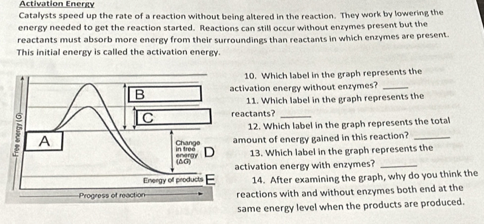 Activation Energy 
Catalysts speed up the rate of a reaction without being altered in the reaction. They work by lowering the 
energy needed to get the reaction started. Reactions can still occur without enzymes present but the 
reactants must absorb more energy from their surroundings than reactants in which enzymes are present. 
This initial energy is called the activation energy. 
10. Which label in the graph represents the 
ivation energy without enzymes?_ 
11. Which label in the graph represents the 
actants?_ 
12. Which label in the graph represents the total 
mount of energy gained in this reaction?_ 
13. Which label in the graph represents the 
ctivation energy with enzymes?_ 
14. After examining the graph, why do you think the 
eactions with and without enzymes both end at the 
same energy level when the products are produced.