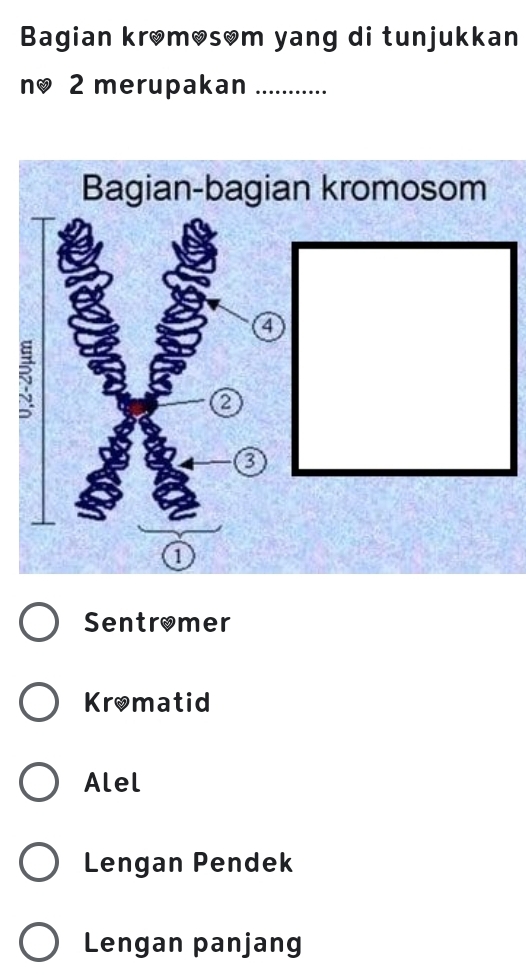 Bagian krømøsom yang di tunjukkan
n 2 merupakan_
Bagian-bagian kromosom
4
5
a
a
a
Sentromer
Kromatid
Alel
Lengan Pendek
Lengan panjang