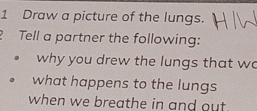 Draw a picture of the lungs. 
Tell a partner the following: 
why you drew the lungs that wo 
what happens to the lungs 
when we breathe in and out.