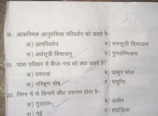 आकस्मिक आनुवंशिक परिवर्तन को कहते है-
अ) उत्परिवर्तन ब) समसूत्री विभाजन
स) अर्धसूत्री विभाजन् द) पुनर्सम्मिश्रण
19. घास परिवार में बीज-पत्र को क्या कहते है?
अ) प्रशल्क ब) प्रांकुर चोल
स) परिभ्रूण पोष द) प्रसुप्ति
20. निम्न में से किसमें कीट परागण होता है-
अ) गुड्हल
ब) अंजीर
स) गेहॅँ द) हाइड्रिला