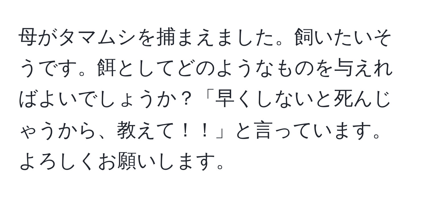 母がタマムシを捕まえました。飼いたいそうです。餌としてどのようなものを与えればよいでしょうか？「早くしないと死んじゃうから、教えて！！」と言っています。よろしくお願いします。