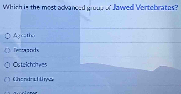 Which is the most advanced group of Jawed Vertebrates?
Agnatha
Tetrapods
Osteichthyes
Chondrichthyes