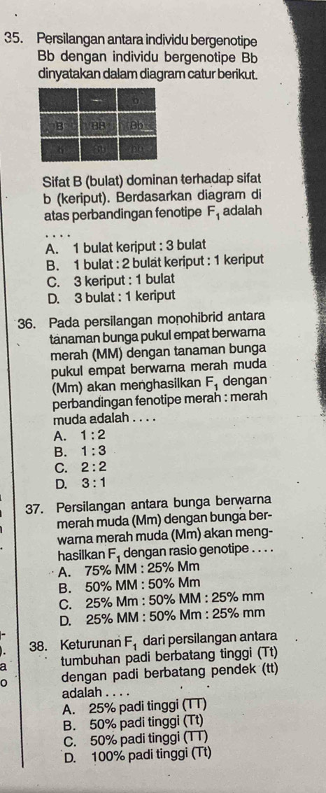 Persilangan antara individu bergenotipe
Bb dengan individu bergenotipe Bb
dinyatakan dalam diagram catur berikut.
Sifat B (bulat) dominan terhadap sifat
b (keriput). Berdasarkan diagram di
atas perbandingan fenotipe F_1 adalah
_
A. 1 bulat kerjput : 3 bulat
B. 1 bulat : 2 bulät keriput : 1 keriput
C. 3 keriput : 1 bulat
D. 3 bulat : 1 keriput
36. Pada persilangan monohibrid antara
tánaman bunga pukul empat berwarna
merah (MM) dengan tanaman bunga
pukul empat berwarna merah muda
(Mm) akan menghasilkan F_1 dengan
perbandingan fenotipe merah : merah
muda adalah . . . .
A. 1:2
B. 1:3
C. 2:2
D. 3:1
37. Persilangan antara bunga berwarna
merah muda (Mm) dengan bunga ber-
warna merah muda (Mm) akan meng-
hasilkan F_1 dengan rasio genotipe . . . .
A. 75% MM : 25% Mm
B. 50% MM : 50% Mm
C. 25% Mm : 50% MM : 25% mm
D. 25% MM : 50% Mm : 25% mm
38. Keturunan F_1 dari persilangan antara
a tumbuhan padi berbatang tinggi (Tt)
0 dengan padi berbatang pendek (tt)
adalah . . . .
A. 25% padi tinggi (TT)
B. 50% padi tinggi (Tt)
C. 50% padi tinggi (TT)
D. 100% padi tinggi (Tt)