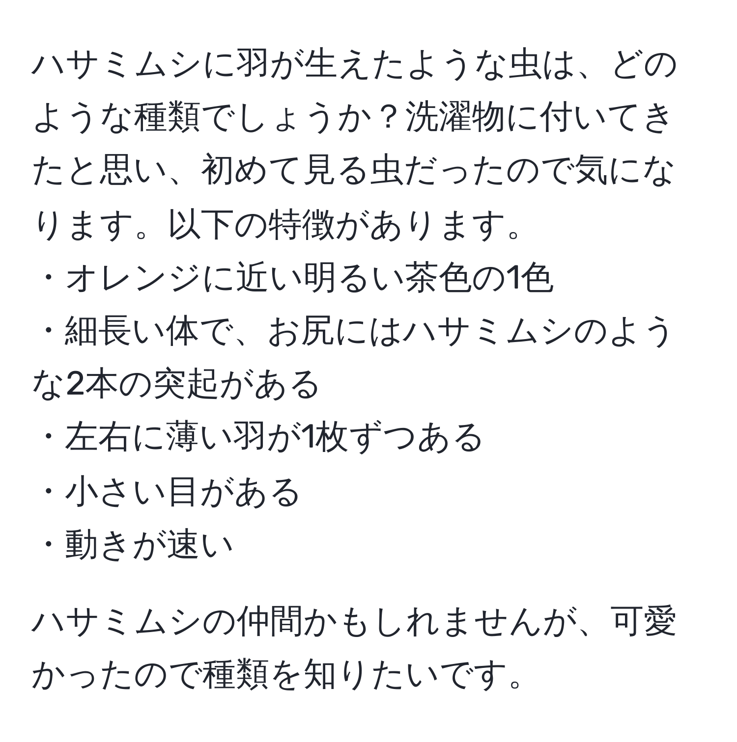 ハサミムシに羽が生えたような虫は、どのような種類でしょうか？洗濯物に付いてきたと思い、初めて見る虫だったので気になります。以下の特徴があります。  
・オレンジに近い明るい茶色の1色  
・細長い体で、お尻にはハサミムシのような2本の突起がある  
・左右に薄い羽が1枚ずつある  
・小さい目がある  
・動きが速い  

ハサミムシの仲間かもしれませんが、可愛かったので種類を知りたいです。